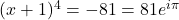 (x+1)^4 = -81 = 81e^{i\pi}
