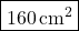 \boxed{160 \, \text{cm}^2}