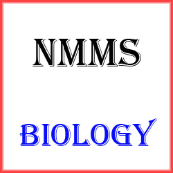 NMMS BIOLOGY