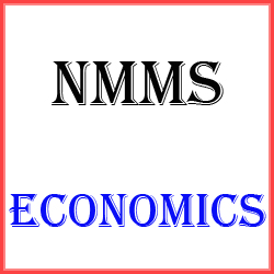 NMMS ECONOMICS TEST