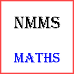 NMMS MATHS TEST